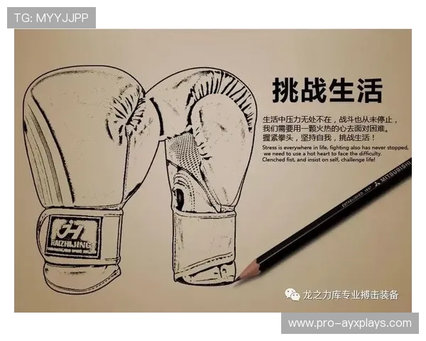 国际拳击裁判评分复核委员会年度判例与教学解析集第二版上线,国际拳击邀请赛 国际拳击裁判评分复核委员会年度判例与教学解析集第二版上线,国际拳击邀请赛